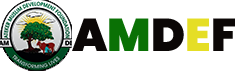 AMDEF